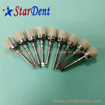 Disposable Consumable Dental Prophy Brushes Factory